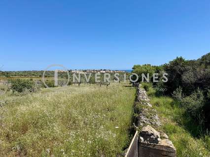 Parcela rústica en venta en Manacor