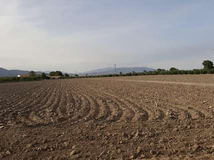 Parcela rústica en venta en Lorca