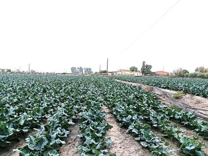 Parcela rústica en venta en Lorca