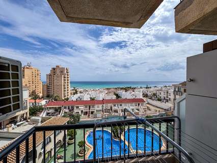 Estudio en venta en Torrevieja rebajado