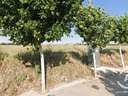 Parcela en venta en Chozas de Canales