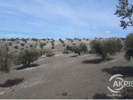 Parcela en venta en Alameda de la Sagra