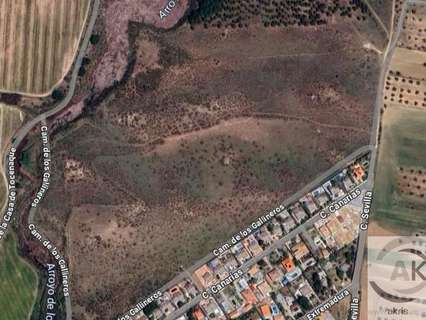 Parcela en venta en Cedillo del Condado