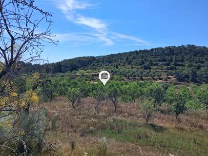 Parcela rústica en venta en El Pinell de Brai