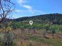 Parcela rústica en venta en El Pinell de Brai