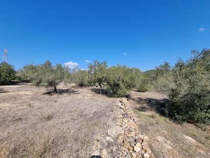 Parcela rústica en venta en L'Ametlla de Mar