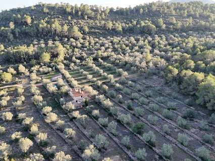 Casa rústica en venta en Tivissa