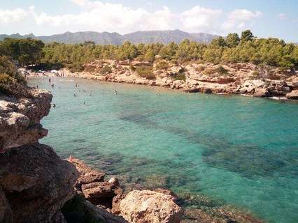 Parcela rústica en venta en L'Ametlla de Mar