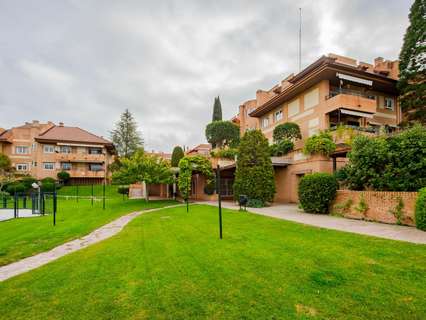 Piso en alquiler en Las Rozas de Madrid
