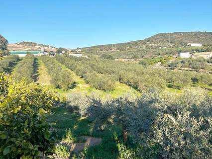 Casa en venta en Arcos de la Frontera rebajada