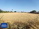 Parcela rústica en venta en Jerez de la Frontera zona Guadalcacín