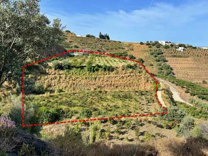 Parcela rústica en venta en Algarrobo