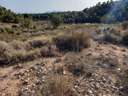 Parcela rústica en venta en Crevillent