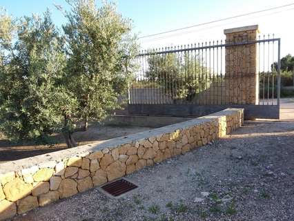 Parcela rústica en venta en Crevillent