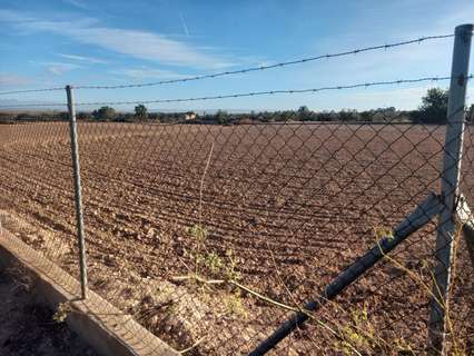 Parcela rústica en venta en Elche/Elx