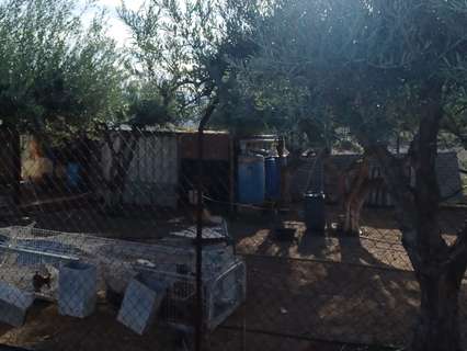 Chalet en venta en Aspe