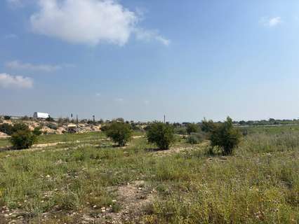 Parcela rústica en venta en Elche/Elx