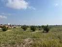 Parcela rústica en venta en Elche/Elx