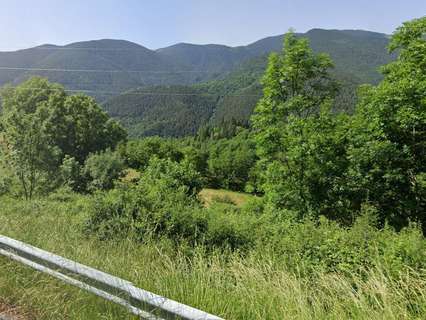 Parcela rústica en venta en Planoles