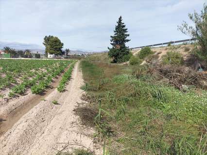 Parcela rústica en venta en Cox