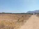 Parcela rústica en venta en Orihuela