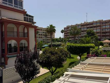Apartamento en venta en Torrevieja rebajado