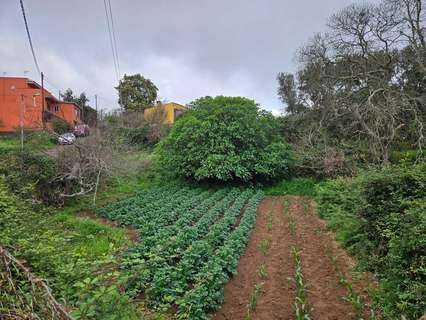 Parcela rústica en venta en El Sauzal