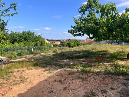 Parcela rústica en venta en El Catllar