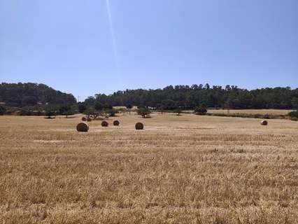 Parcela rústica en venta en Porreres