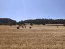 Parcela rústica en venta en Porreres