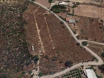 Parcela rústica en venta en Crevillent