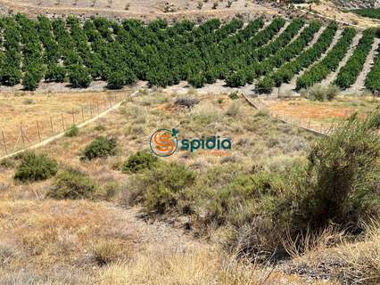 Parcela rústica en venta en Águilas