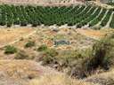 Parcela rústica en venta en Águilas