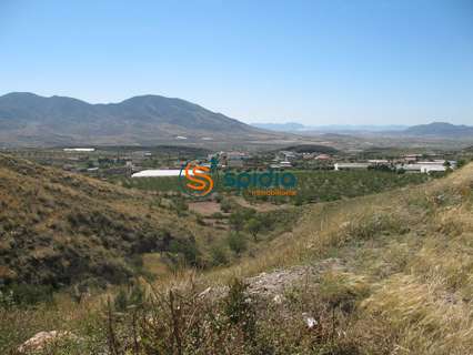 Parcela rústica en venta en Huércal-Overa