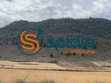 Parcela rústica en venta en Lorca