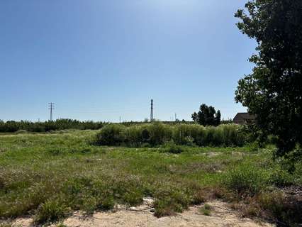 Parcela rústica en venta en Bollullos de la Mitación rebajada