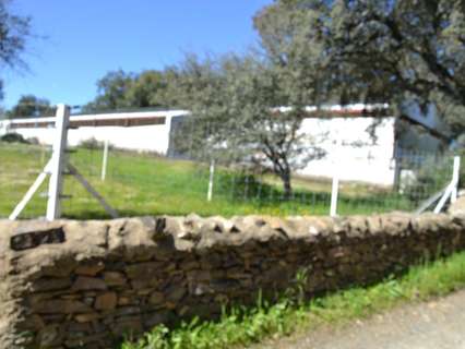 Parcela rústica en venta en Segura de León rebajada