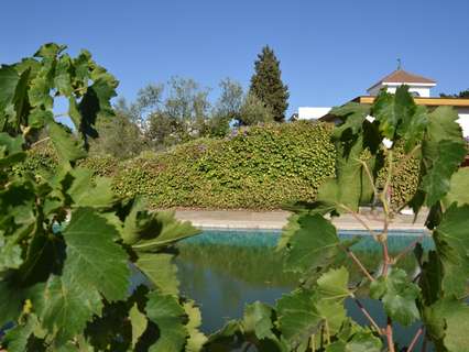 Parcela urbana en venta en Espartinas