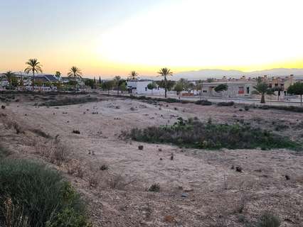 Parcela rústica en venta en Molina de Segura