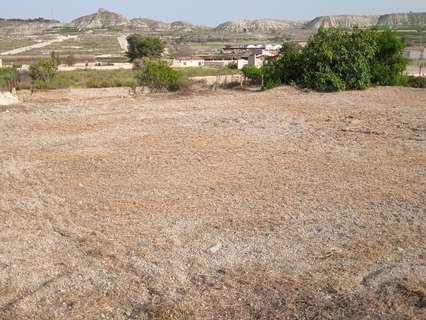 Parcela rústica en venta en Alguazas