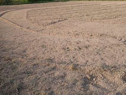 Parcela rústica en venta en Alguazas