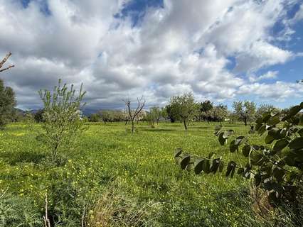 Parcela urbana en venta en Palma de Mallorca