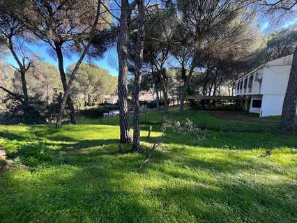 Parcela rústica en venta en Córdoba rebajada