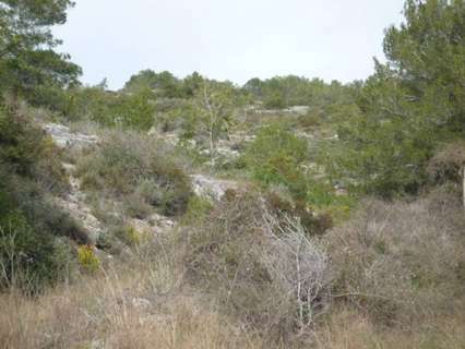 Parcela rústica en venta en Vilanova i La Geltrú