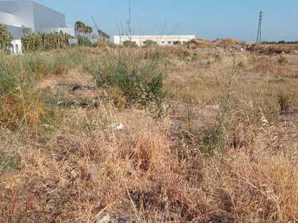 Parcela rústica en venta en Sanlúcar de Barrameda