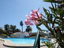 Bungalow en venta en Mogán