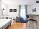Estudio en alquiler en Madrid