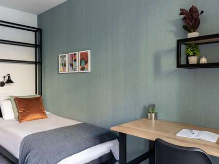 Estudio en alquiler en Valencia