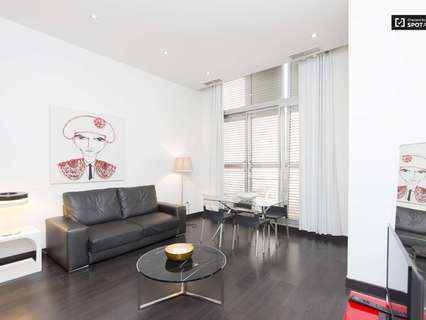 Estudio en alquiler en Madrid