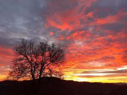 Apartamento en alquiler en Barcelona